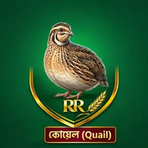 quail_category