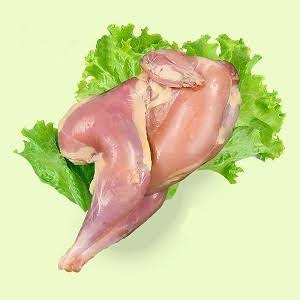 colour bird